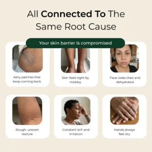 Pure Nilotica Shea Butter by - Image 3