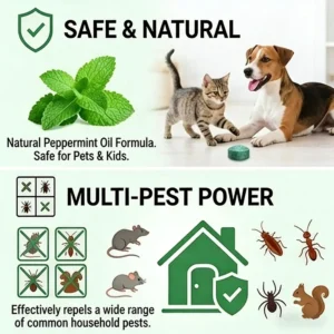 12 Pack Rodent Repellent Balls – Natural Peppermint &nLemon Oil Pest Control - Image 5