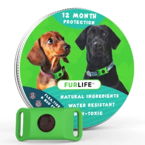 12 Months Flea and Tick Free - Image 2