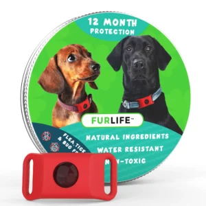 12 Months Flea and Tick Free - Image 5
