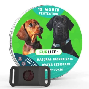 12 Months Flea and Tick Free - Image 6