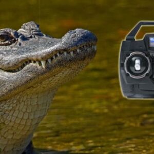 PRANK – REMOTE CONTROLLED ALLIGATOR - Image 7