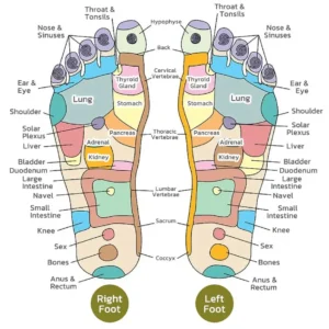PRO Herbal Detox Foot Soak Beads - Image 5