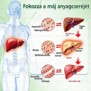 Glumasetide 8az 1-ben Karcsú és EgészségesNano Mikrotűs Tapasz - Image 14