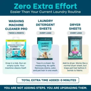 Laundry Cycle Pro - Image 5
