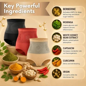 2026 8-in-1 Moringa & Berberine Thermogenic Sculpting Shorts - Image 7