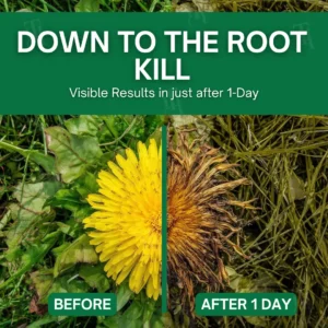 3 in 1 Max Power Herbicide - Image 2