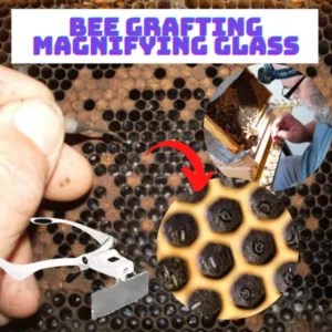 [PROMO 30% OFF] Bee Grafting Magnifying Glass - Image 2