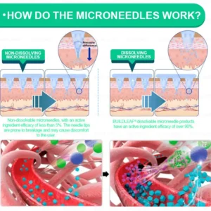 Nano-Microneedle Patch with Collagen - Image 10