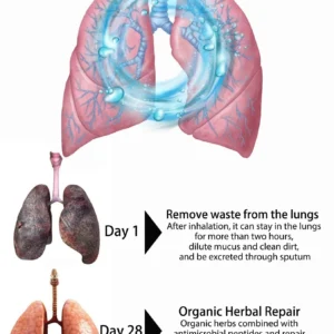 Organic Herbal Lung Restoration and Revitalizer Nasal Spray-Pro Formula - Image 4