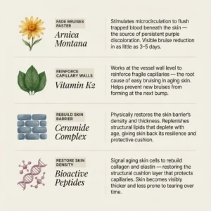 Bruise Repair & Skin-Strengthening Cream - Image 3