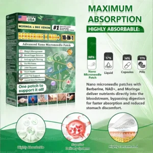 Moringa · Berberine × NAD+ 𝟏𝟎-𝐢𝐧-𝟏 𝐀𝐝𝐯𝐚𝐧𝐜𝐞𝐝 𝐍𝐚𝐧𝐨 𝐌𝐢𝐜𝐫𝐨𝐧𝐞𝐞𝐝𝐥𝐞 𝐏𝐚𝐭𝐜𝐡 - Image 13