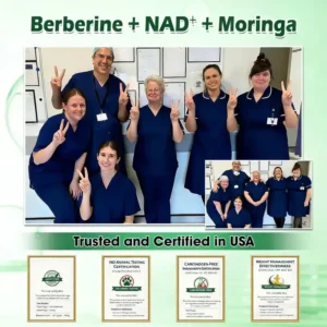 Moringa · Berberine × NAD+ 𝟏𝟎-𝐢𝐧-𝟏 𝐀𝐝𝐯𝐚𝐧𝐜𝐞𝐝 𝐍𝐚𝐧𝐨 𝐌𝐢𝐜𝐫𝐨𝐧𝐞𝐞𝐝𝐥𝐞 𝐏𝐚𝐭𝐜𝐡 - Image 9