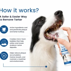 Pet Dental Spray - Image 5