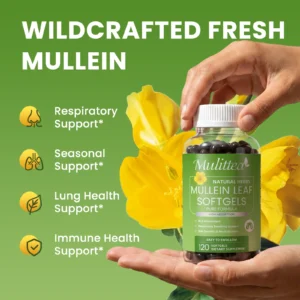 Mullein Leaf Softgels - Image 4