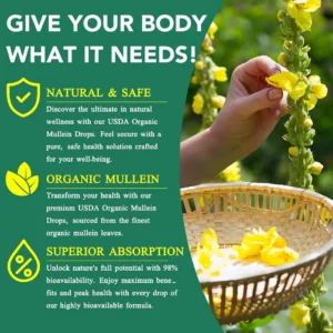 Mullein Drops — NaturalLung Support - Image 2