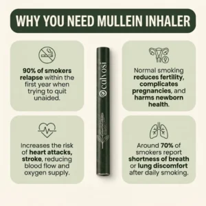 Mullein Purifier - Image 2