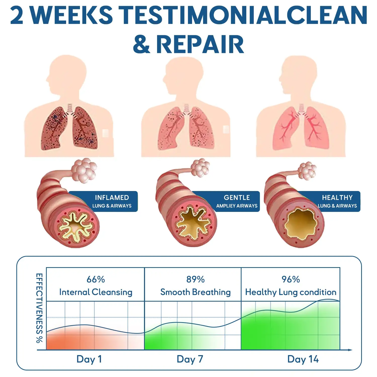 𝐀𝐝𝐯𝐚𝐧𝐜𝐞𝐝 𝐃𝐞𝐞𝐩 𝐏𝐞𝐧𝐞𝐭𝐫𝐚𝐭𝐢𝐨𝐧 𝟔-𝐢𝐧-𝟏 𝐇𝐞𝐫𝐛𝐚𝐥 𝐁𝐞𝐞𝐏𝐫𝐨𝐩𝐨𝐥𝐢𝐬 𝐏𝐚𝐭𝐜𝐡 - Image 2