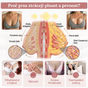 Mikroneedlová náplast pro podporu objemu - Image 15