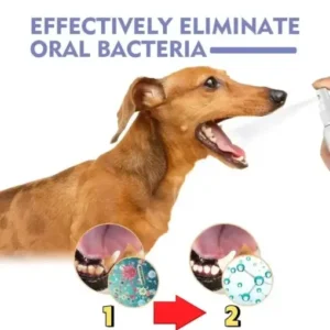 NO BRUSHING oral care spray for dogs cats - Image 4