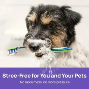 NO BRUSHING oral care spray for dogs cats - Image 5
