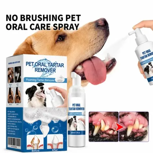 NO BRUSHING oral care spray for dogs cats - Image 8