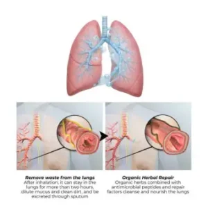 Botanical Mullein Lung Cleanse Diffuser - Image 8