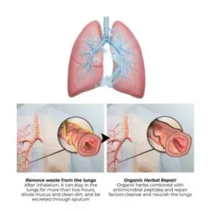 Botanical Mullein Lung Cleanse Diffuser - Image 5