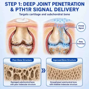 PTH1R Arthritis Joint Cream - Image 5