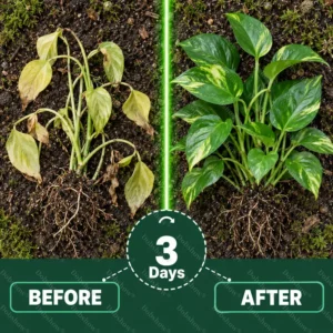 Plant Fertilizer Liquid Plant Food Concentrate - Image 5