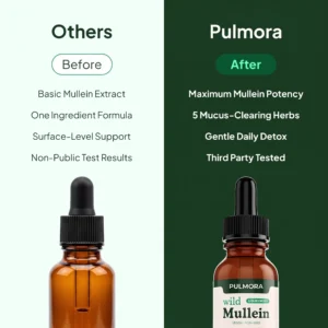 Pulmora Mullein Drops - Image 3