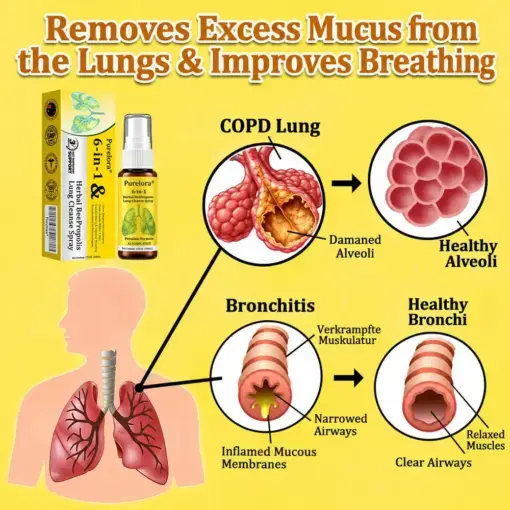 6-in-1 Herbal BeePropolis Lung Cleanse Spray - Image 6