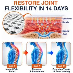 Pain-Relief Bone-Healing Microneedle Patch - Image 4