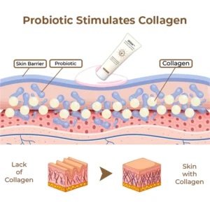 Anti-Pigment Probiotic SPF 50 Day Care Cream - Image 4