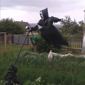 Screaming Scarecrow For Garden - Image 3